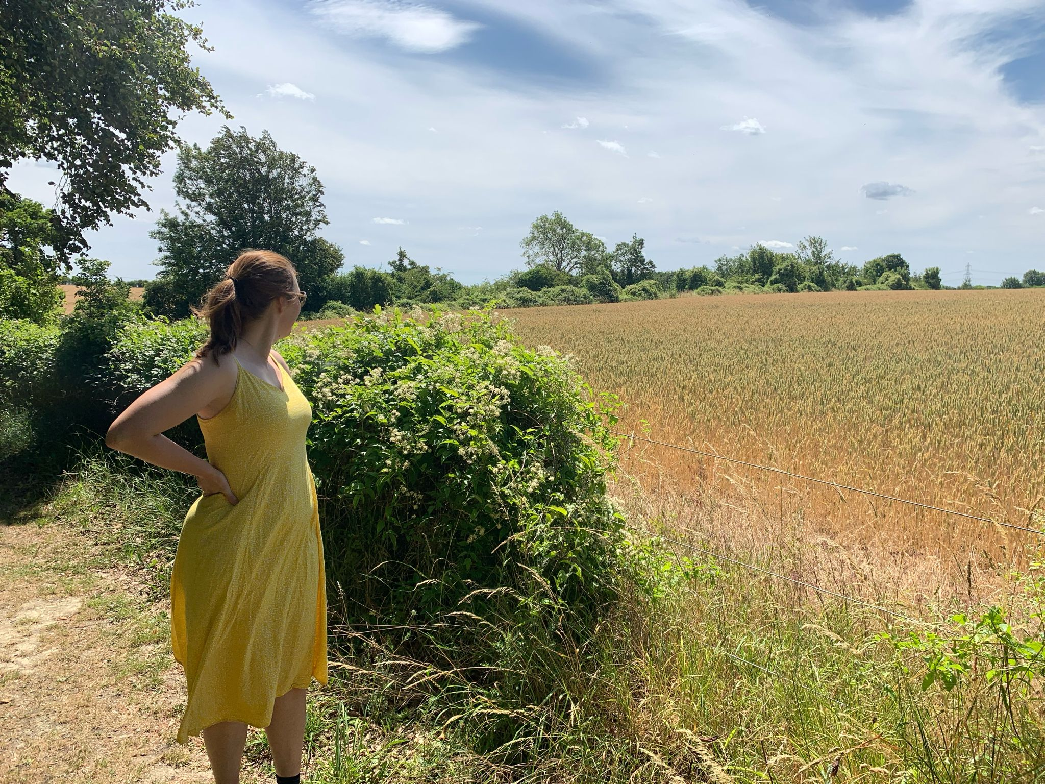 Kat in a field