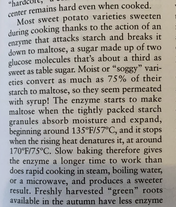 A passage of text describing how sweet potatoes become sweeter during cooking due to an enzyme that breaks down starch into maltose. The enzyme starts working at around 135°F (57°C) and stops at about 170°F (75°C) when it denatures. Slow baking enhances sweetness by allowing more time for the enzyme to act, whereas rapid cooking methods like boiling or microwaving reduce this effect. Some sweet potato varieties can convert up to 75% of their starch into maltose, making them taste syrupy. Freshly harvested 'green' roots in autumn have lower enzyme levels